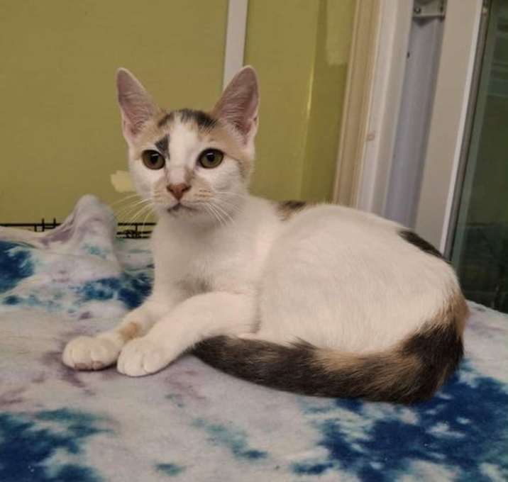 Photo of Casey AND Willow