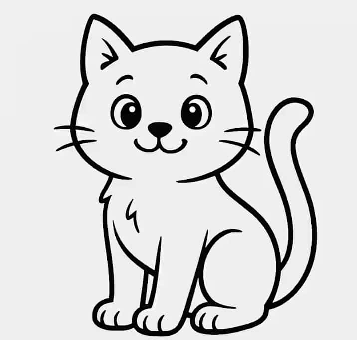 Photo of Adopting Older Kittens-BEST