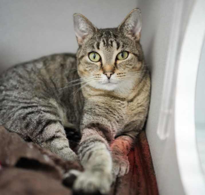 Photo of Butterstuff