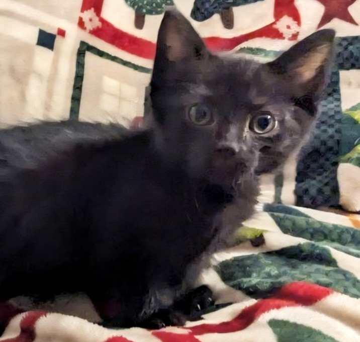 Photo of Billy Joel*