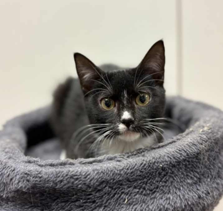 Photo of Clara TCR18/19 9/10/25