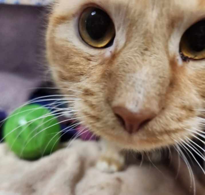 Photo of Natureous Dave