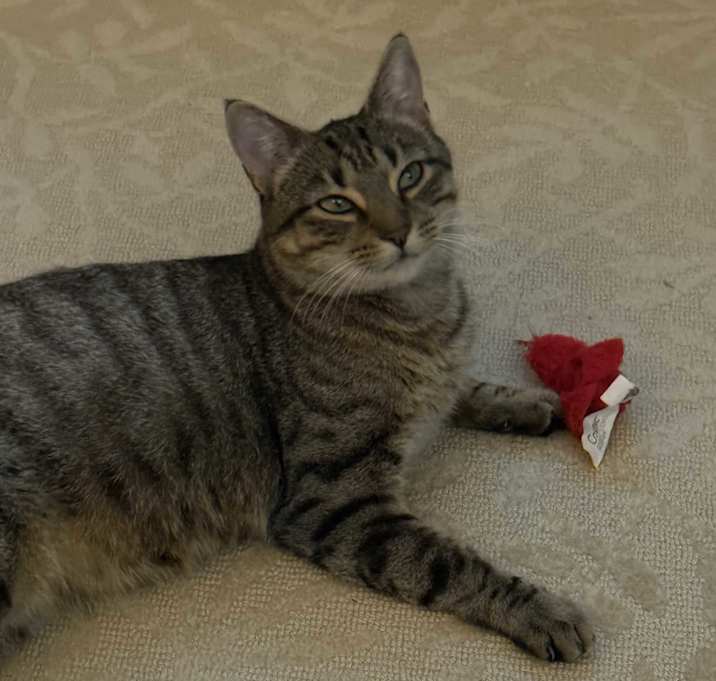 Photo of Courtesy post-  Kiki