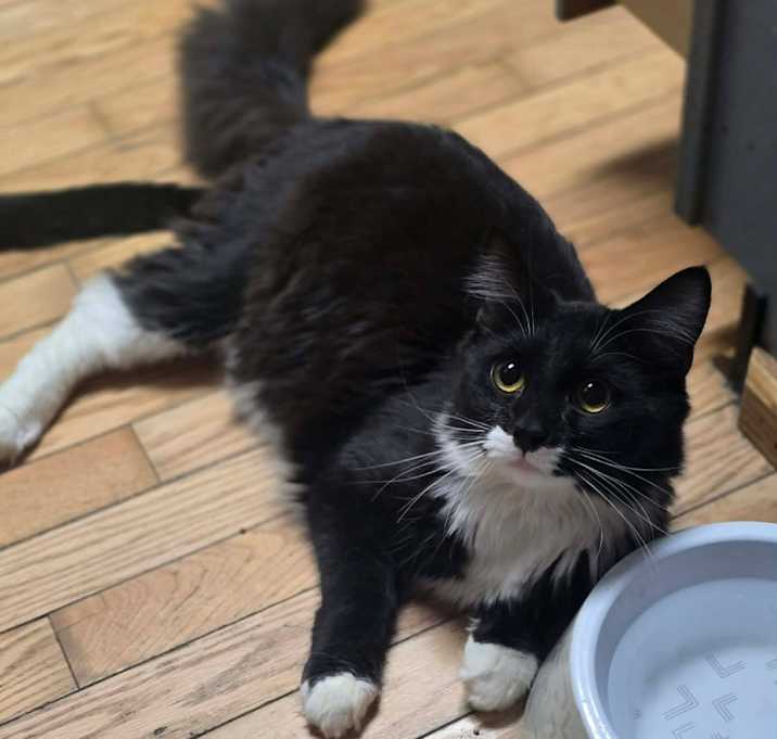 Photo of Tom Selleck