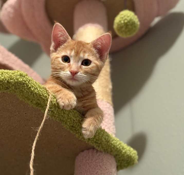 Photo of Ms Otterton