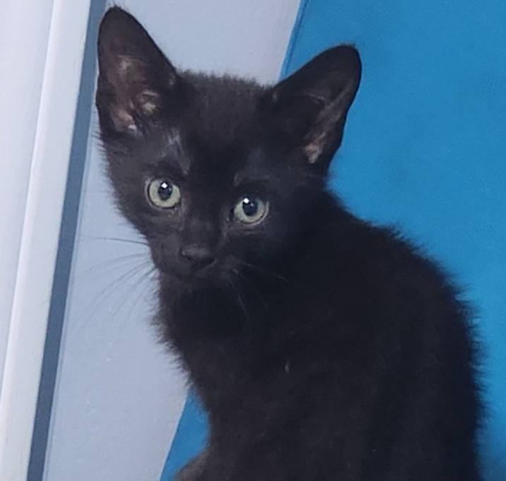 Photo of Mabel Stark