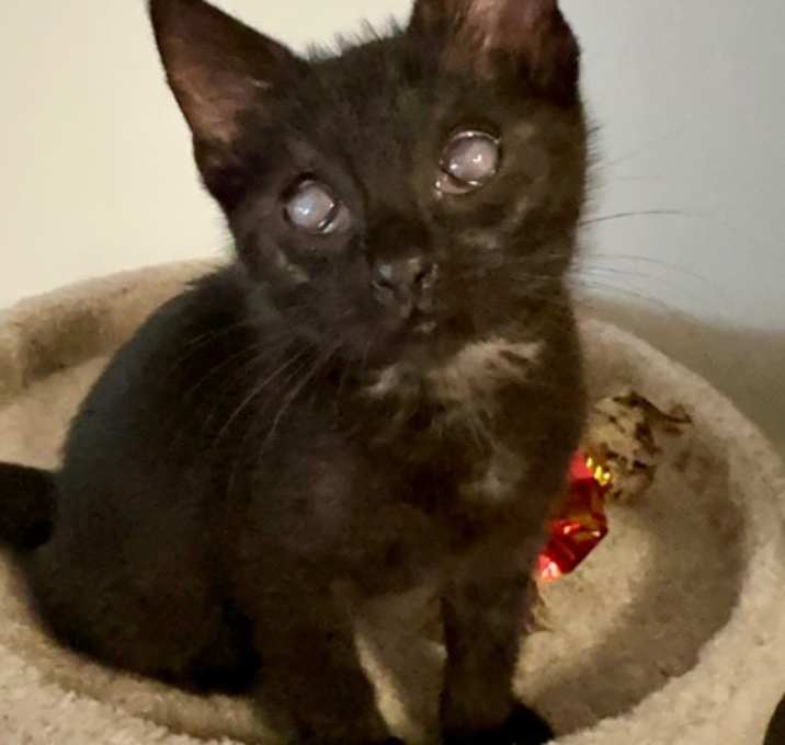 Photo of Cranberry Sauce