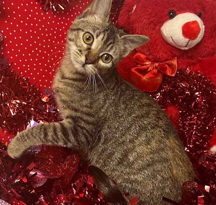 Photo of 8/6/24 - Paisley