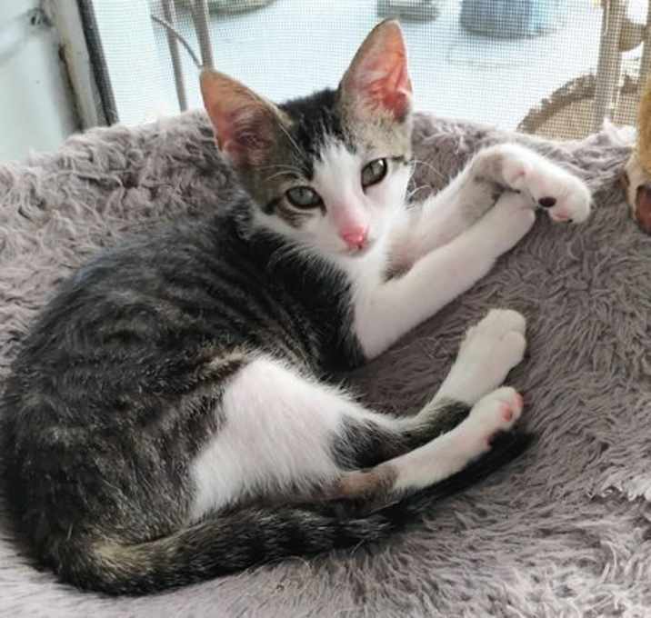 Photo of Miss Phoenix