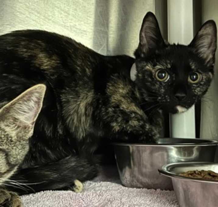 Photo of Miscellaneous