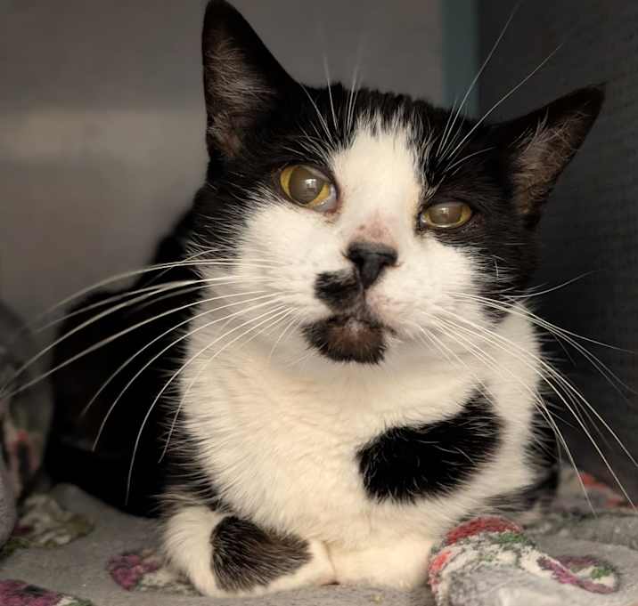 Photo of Nintendo 64