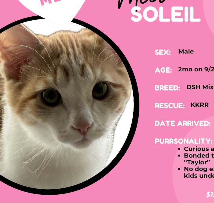 Photo of Soleil