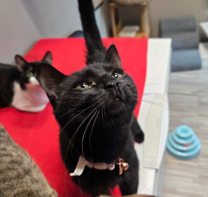 Photo of Polar Express