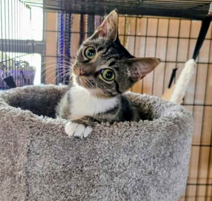 Photo of Betty Davis  (Wallace)