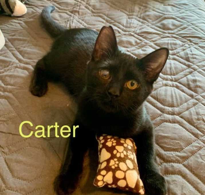 Photo of Carter