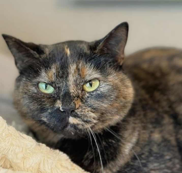 Photo of Marmie O'Dare