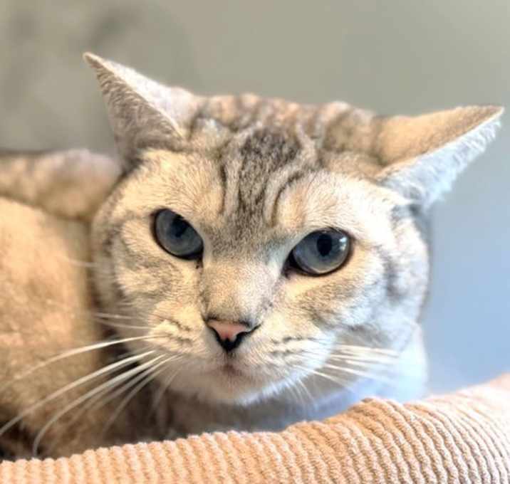 Photo of Koosh McFlourish