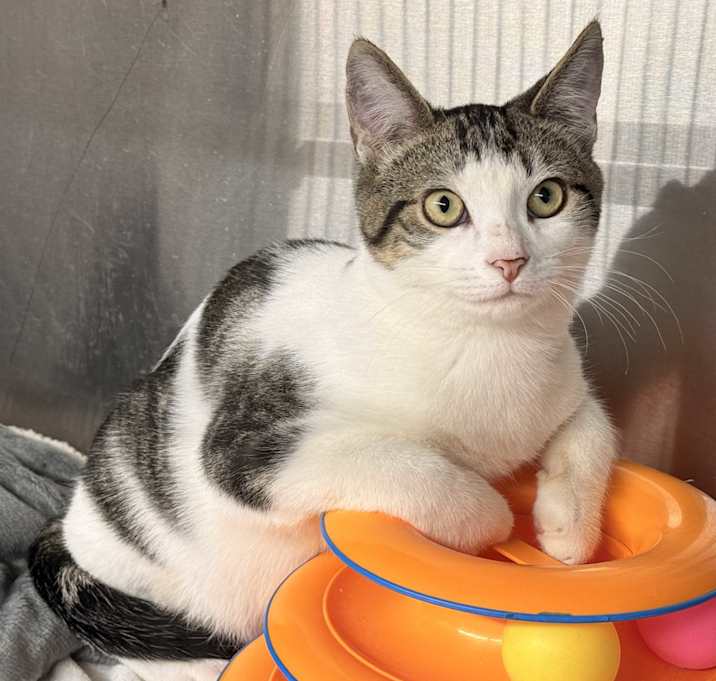 Photo of Rip Van Winkle