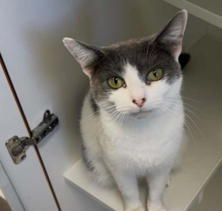 Photo of Pumpkin Spice