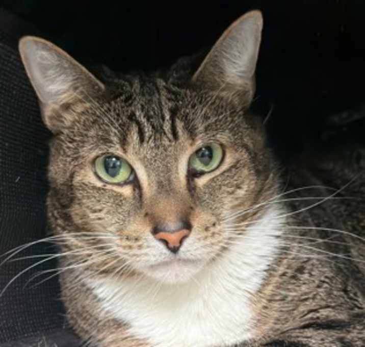 Photo of Mrs. Bickers