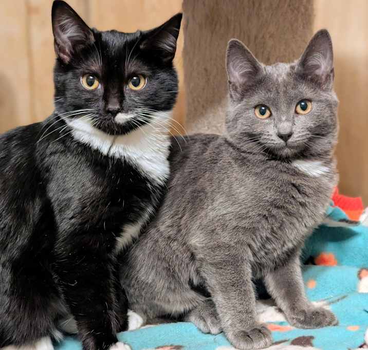 Photo of Beatrice & Bridget: Sweeties!