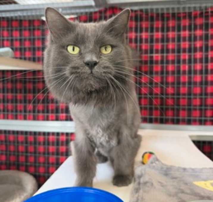 Photo of Snickers *bonded to twix*