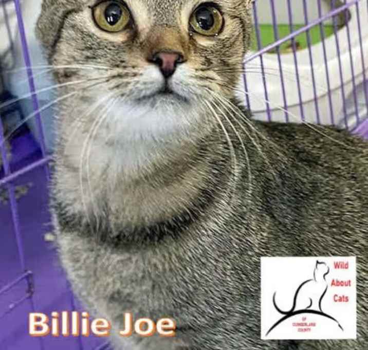 Photo of Billy Jo