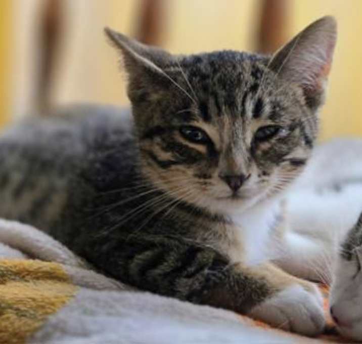 Photo of Joey bond w Jilley