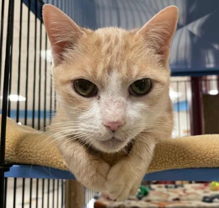 Photo of Rosie Marie w/ Tipper Lee