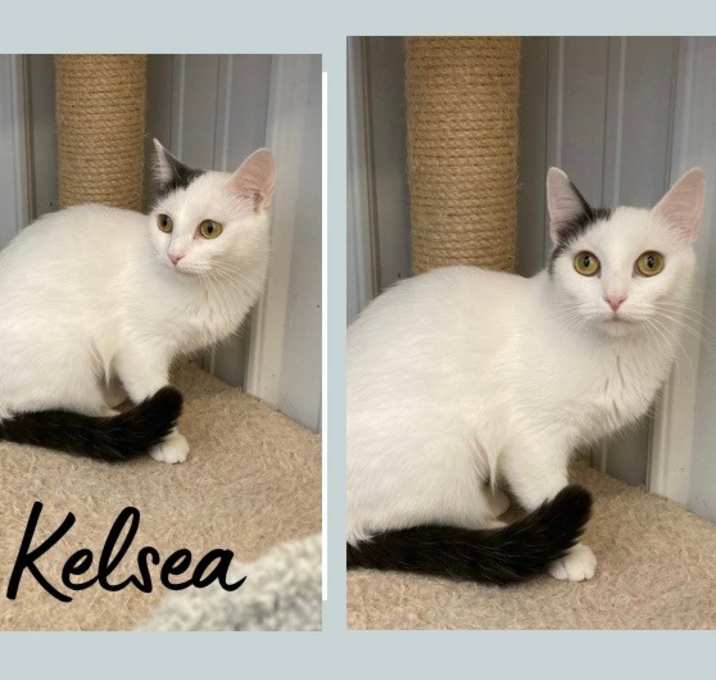 Photo of Kelsea Ballerini