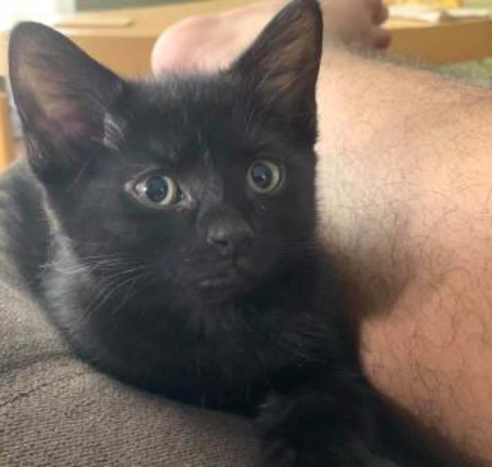 Photo of Lily (Aaliyah)