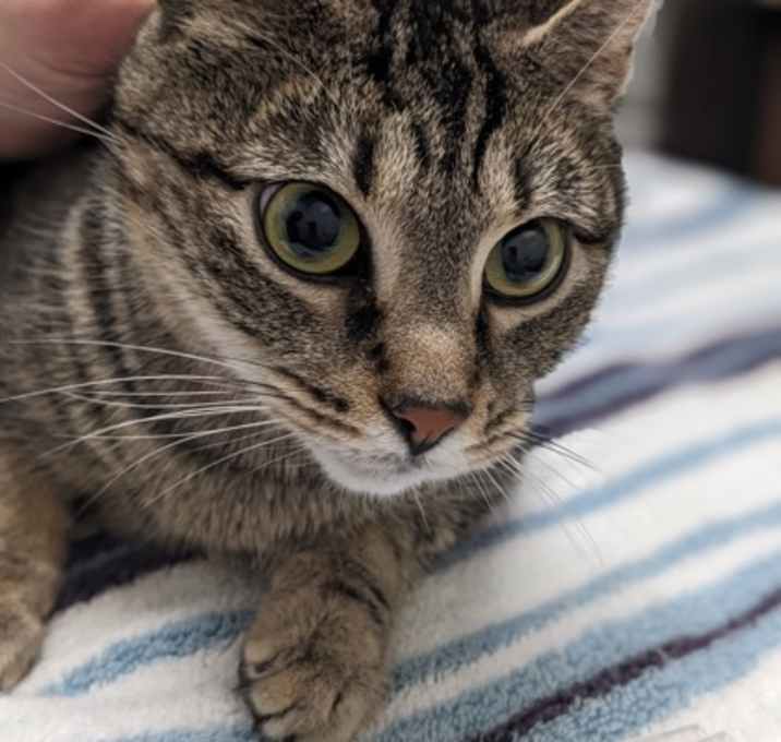 Photo of Found Footage