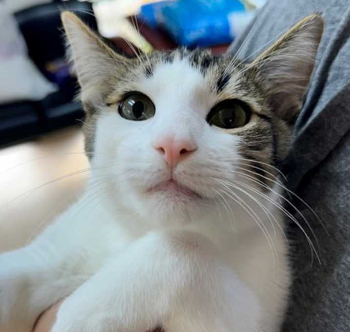 Photo of Vinnie-3622