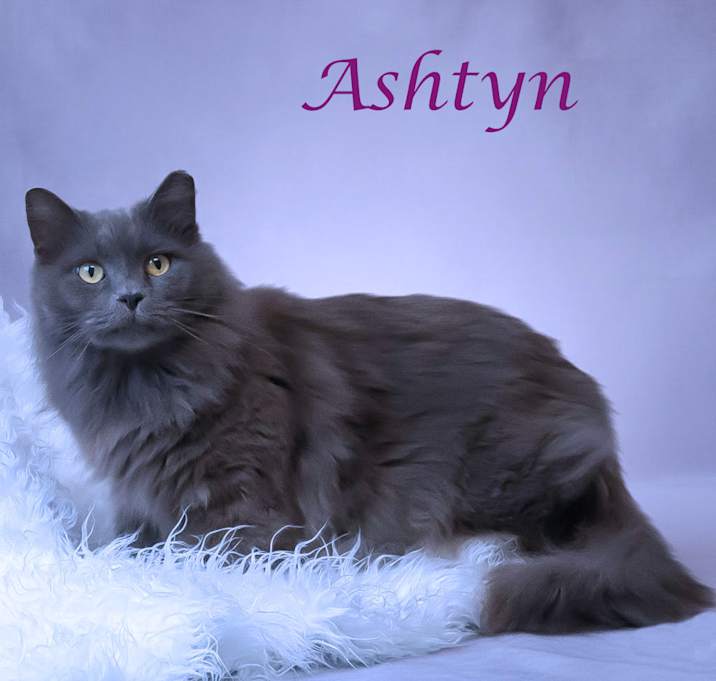 Photo of Ashtyn C25-352