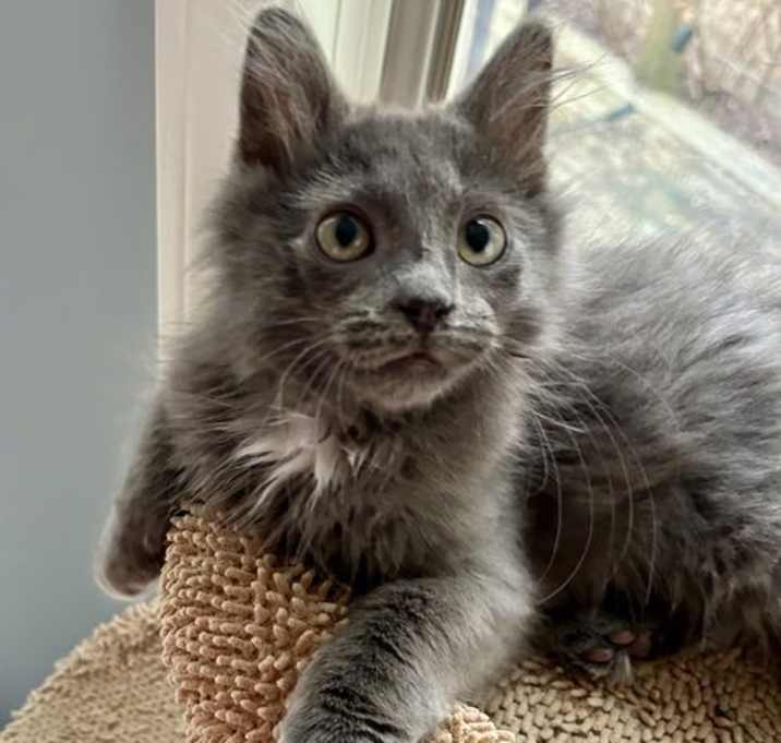 Photo of Prince Charming