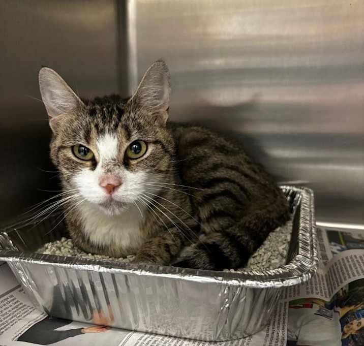 Photo of 2025-09-173 *Gusy*