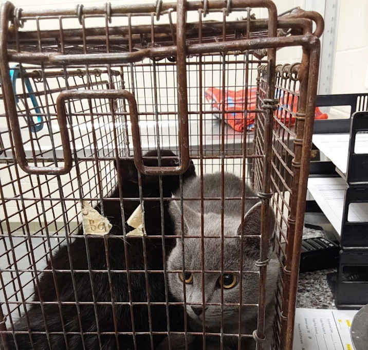 Photo of 2025-12-029