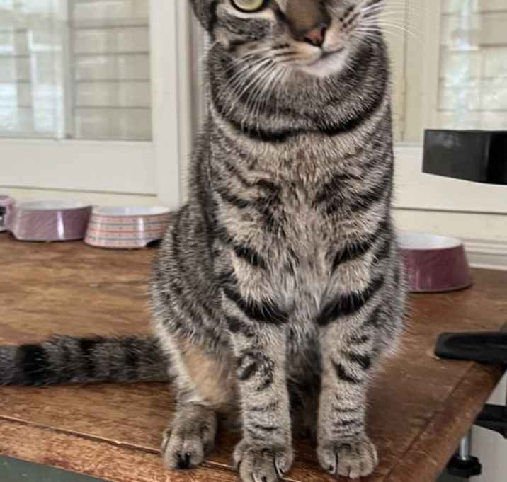 Photo of Paw Paw (& see Mr. Bones)