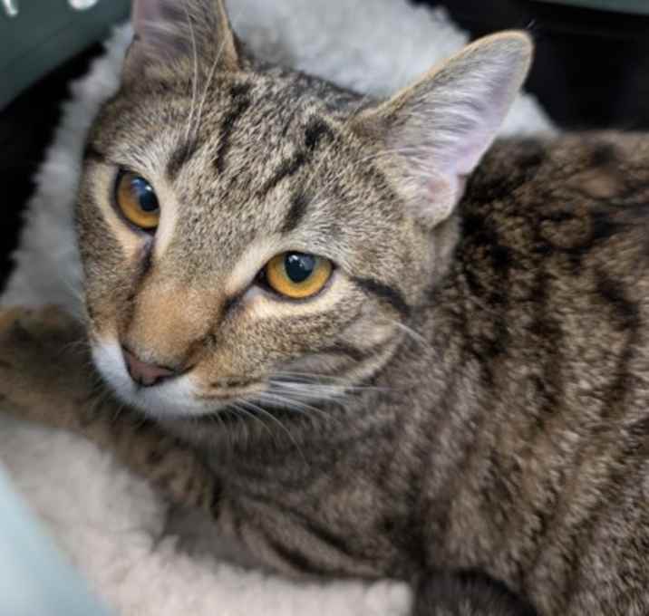 Photo of Hiro FKA Krist