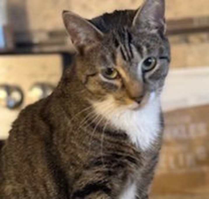 Photo of Reba (affectionate plus)