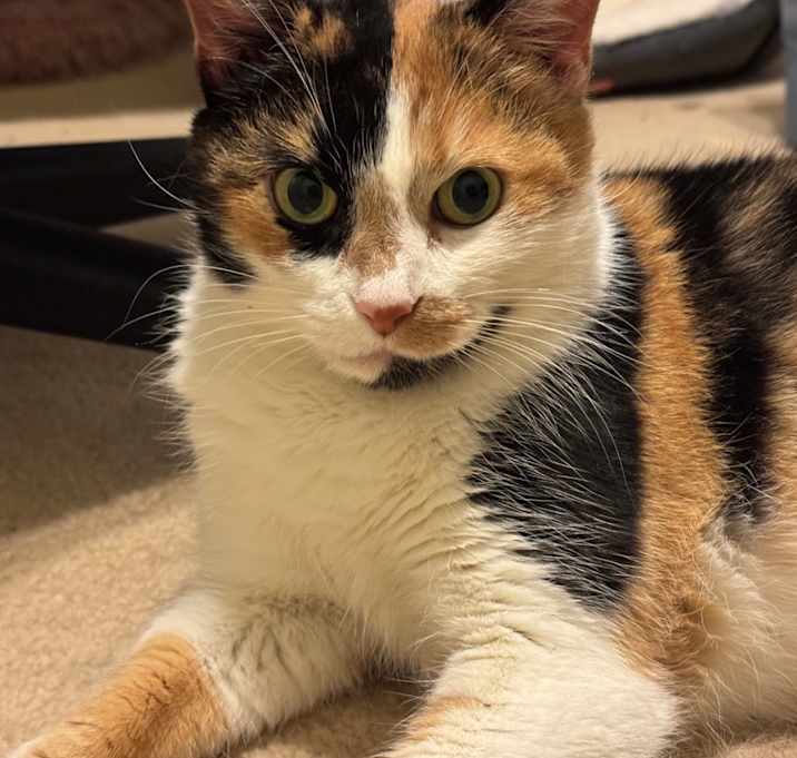 Photo of Patches Struckmann