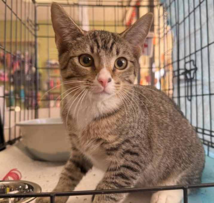 Photo of Enid Sinclair