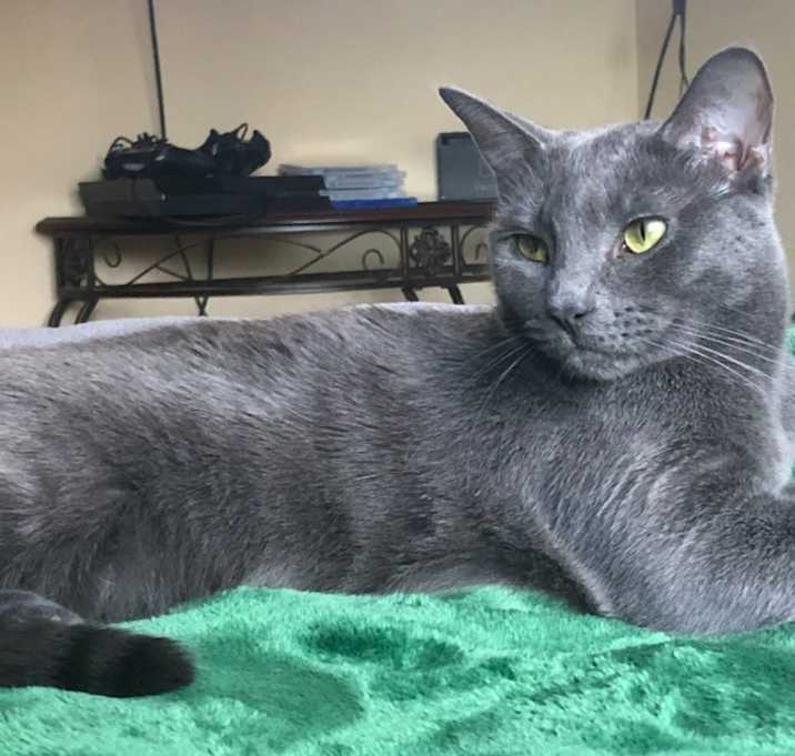 Photo of Winnie and Crow