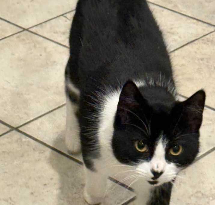 Photo of Emma, Podrick