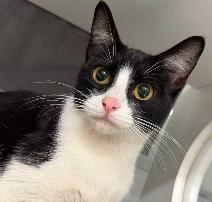 Photo of Suga Spring