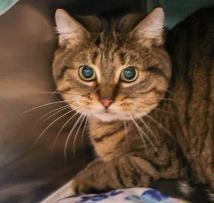 Photo of Holiday Rebate