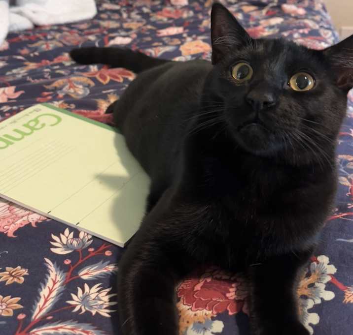 Photo of Megumi and Happy