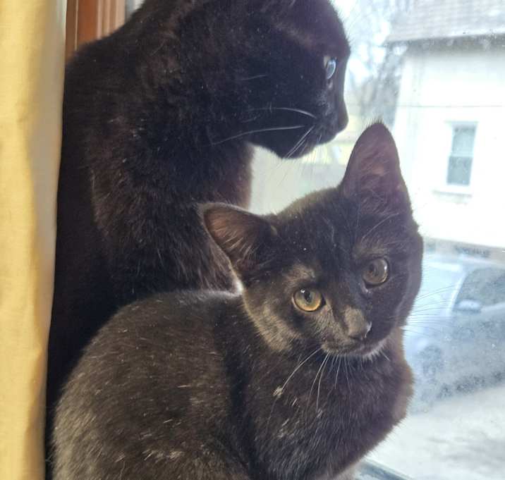 Photo of Little Miss (aka) Pepa