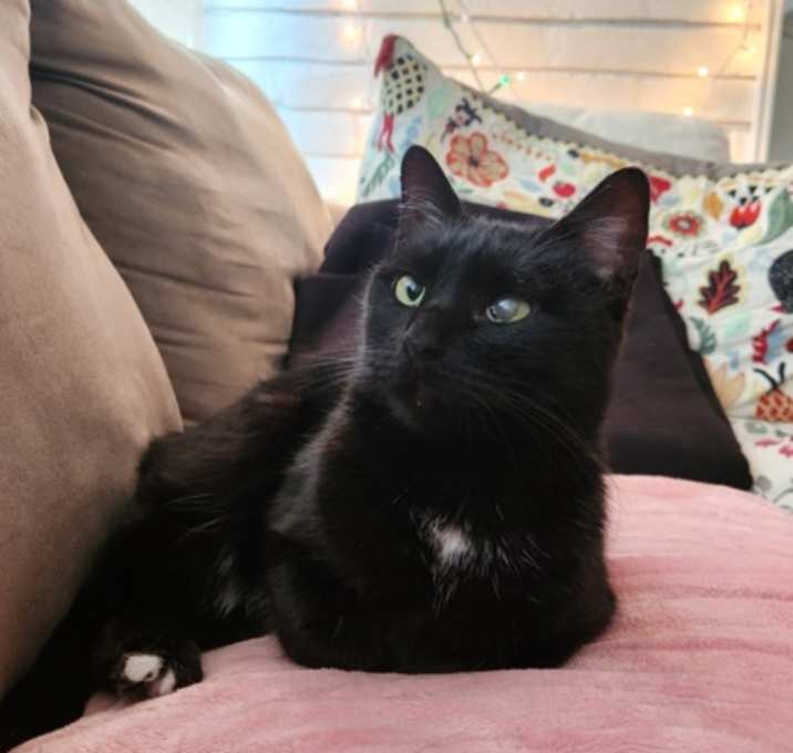 Photo of LEONA FOSTER