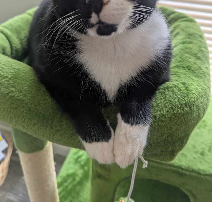 Photo of Sean Lorcan